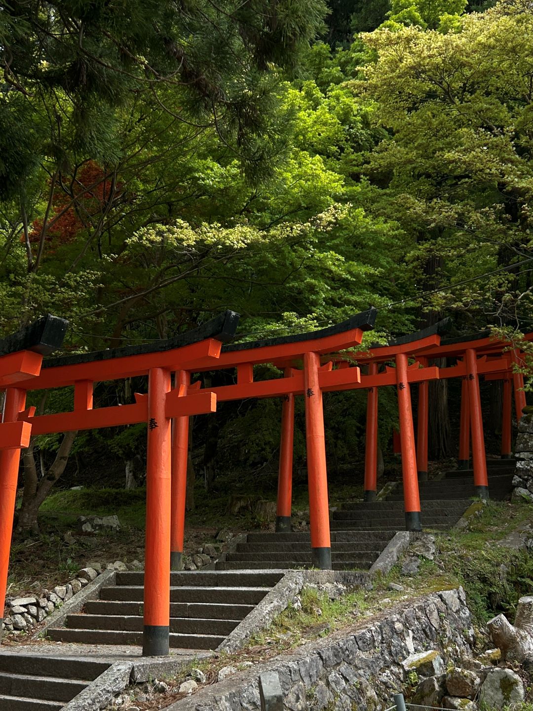 tori gates in japan